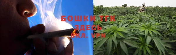 a pvp Бородино