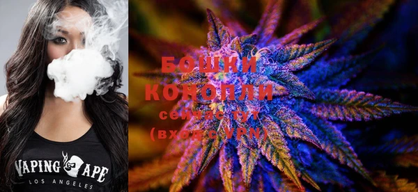 ECSTASY Бронницы