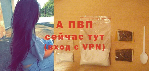 ECSTASY Бронницы