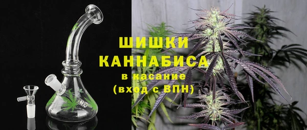 a pvp Бородино