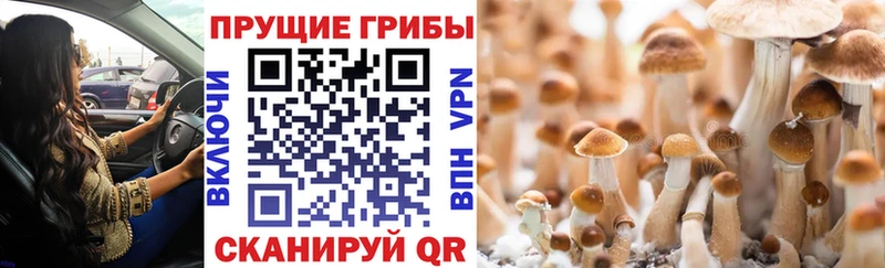 Галлюциногенные грибы мухоморы  Купить где  Лахденпохья 
